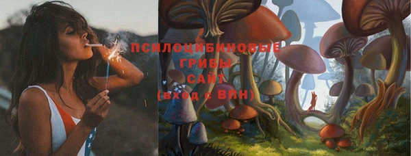 шишки Верхнеуральск