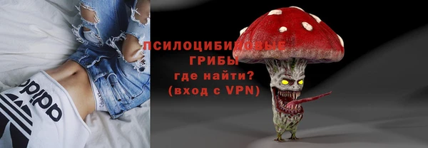 шишки Верхнеуральск