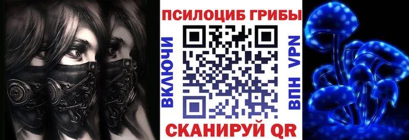 hydra зеркало Семёнов Псилоцибиновые грибы Cubensis
